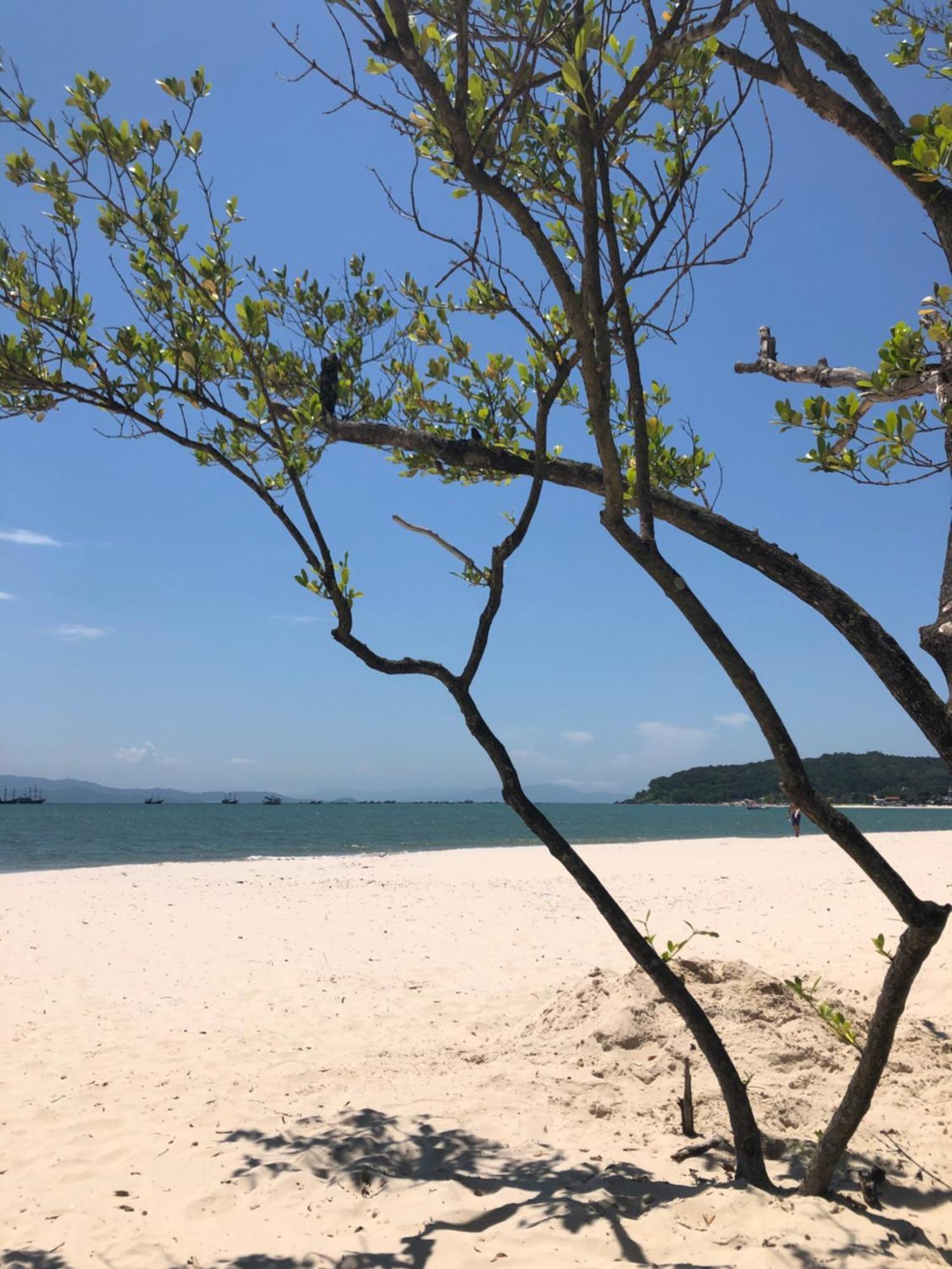 Ap Amplo Com Vista Para Mar Com 3 Suites Florianópolis Buitenkant foto